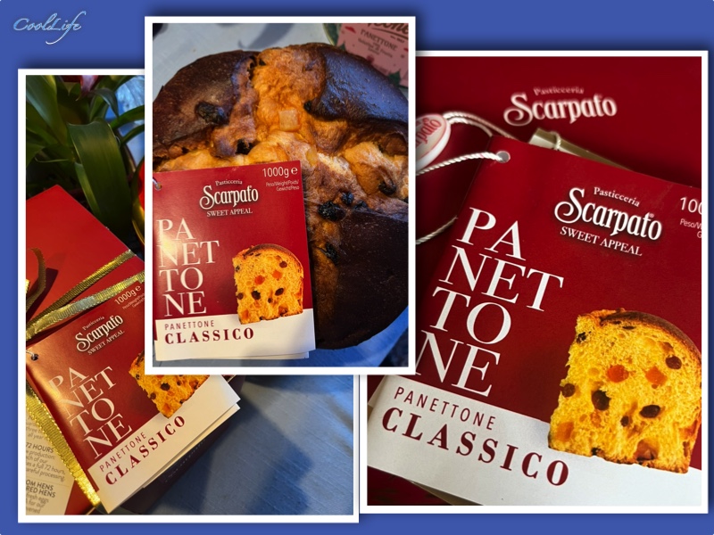 Cool Panettone